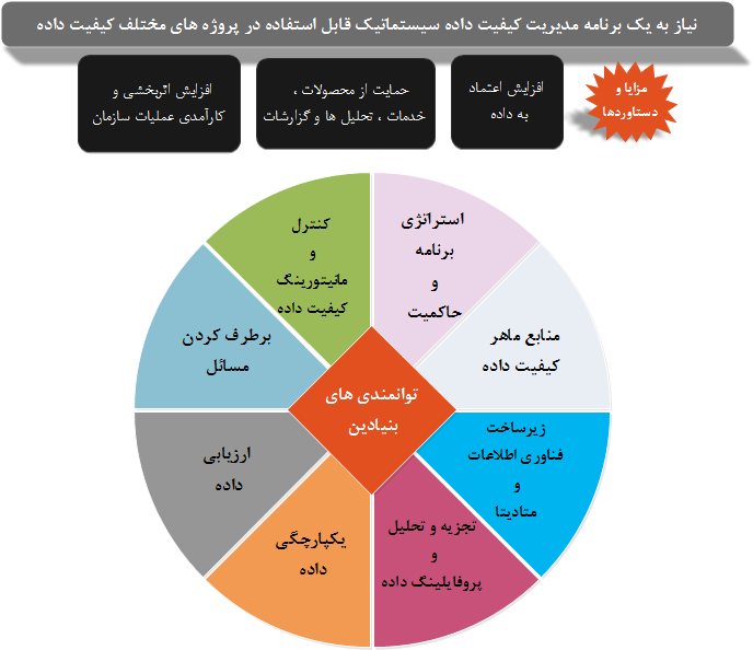 قابلیت های یک برنامه کیفیت داده      